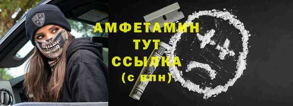 трава Аркадак