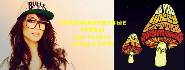 бошки Арсеньев