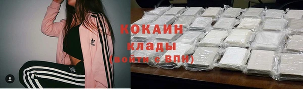 трава Аркадак