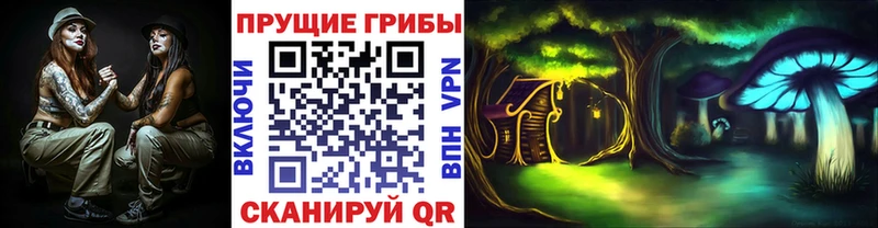Галлюциногенные грибы Cubensis  Острогожск 